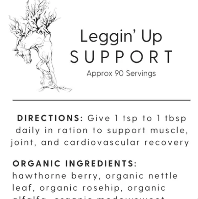 Leggin' Up Support for Horses